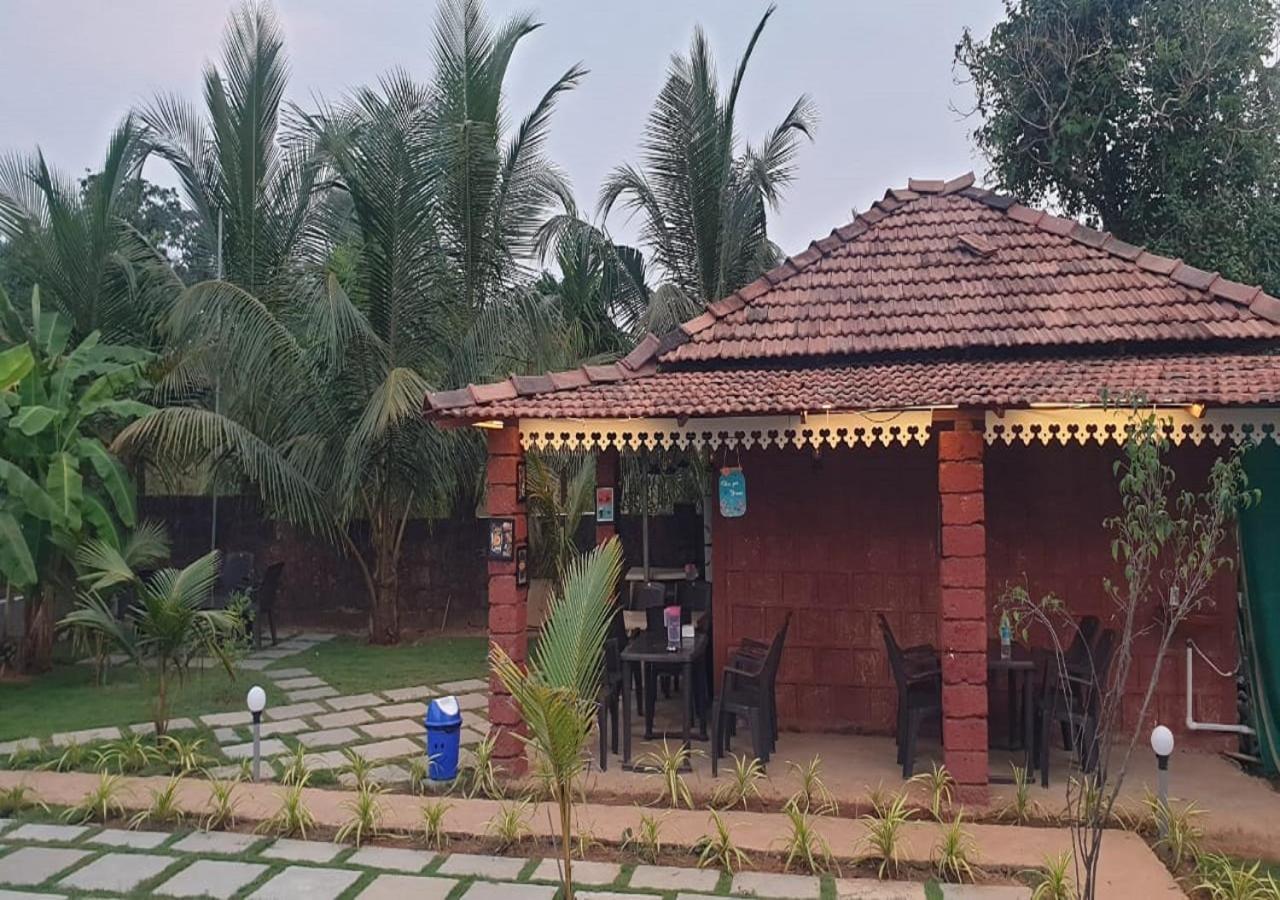 White Truffle Resort, Arambol Ngoại thất bức ảnh