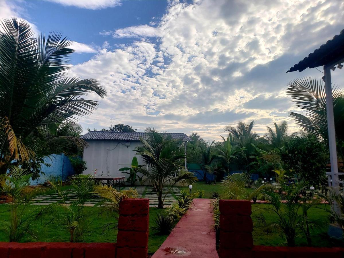 White Truffle Resort, Arambol Ngoại thất bức ảnh