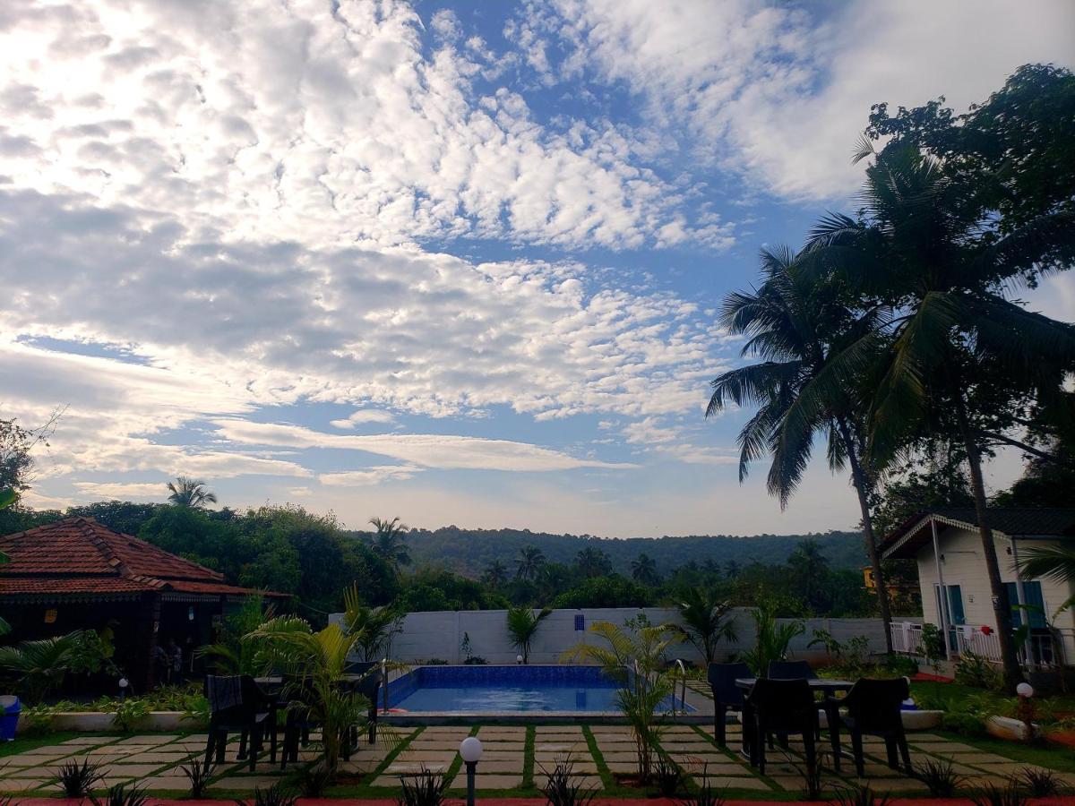 White Truffle Resort, Arambol Ngoại thất bức ảnh