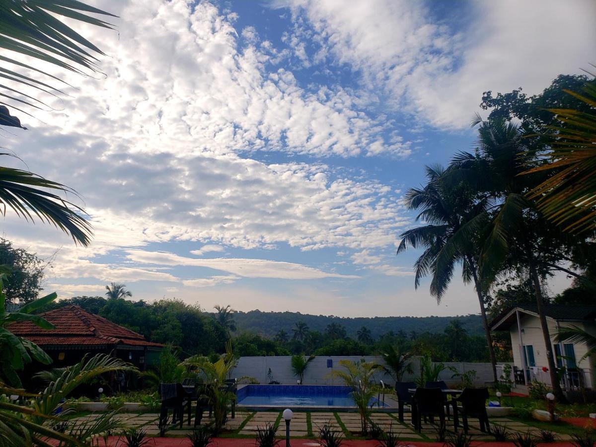 White Truffle Resort, Arambol Ngoại thất bức ảnh