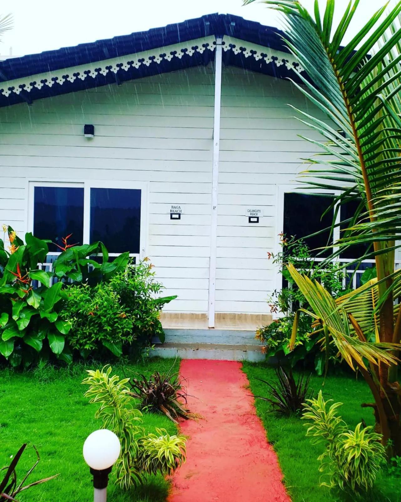 White Truffle Resort, Arambol Ngoại thất bức ảnh