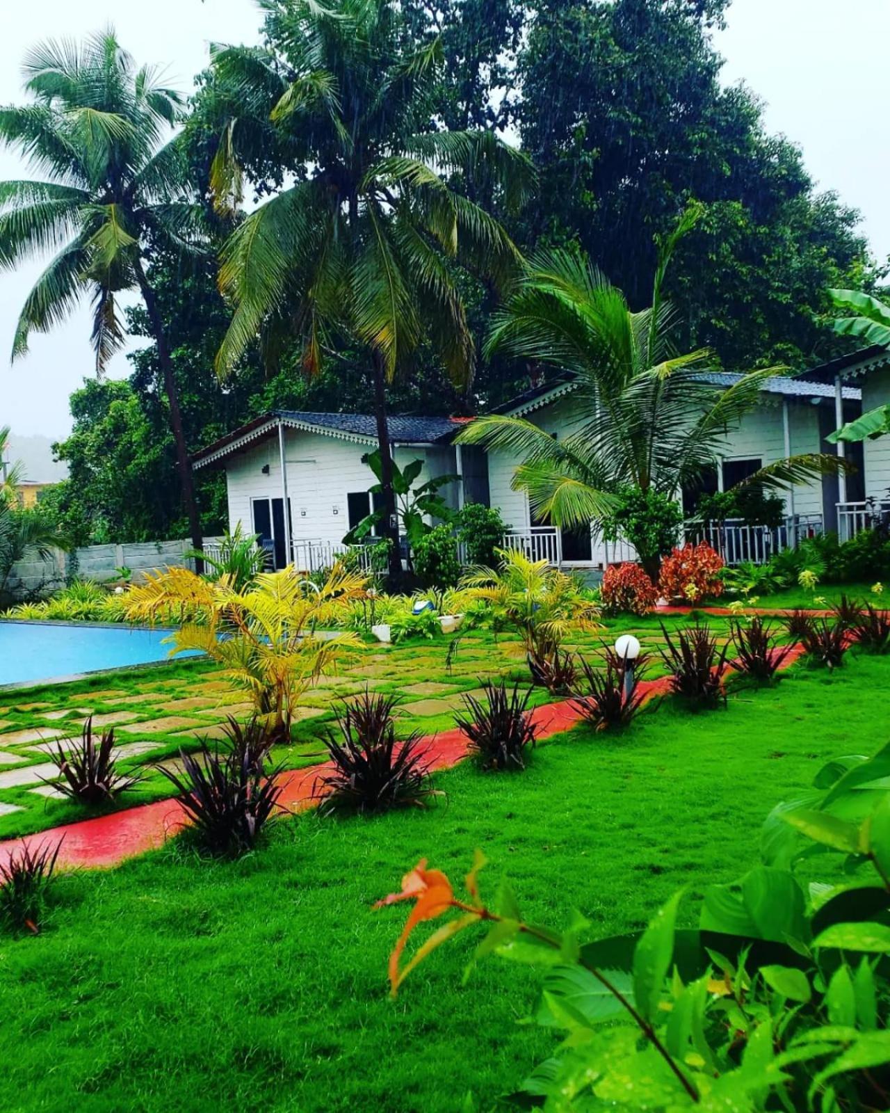White Truffle Resort, Arambol Ngoại thất bức ảnh