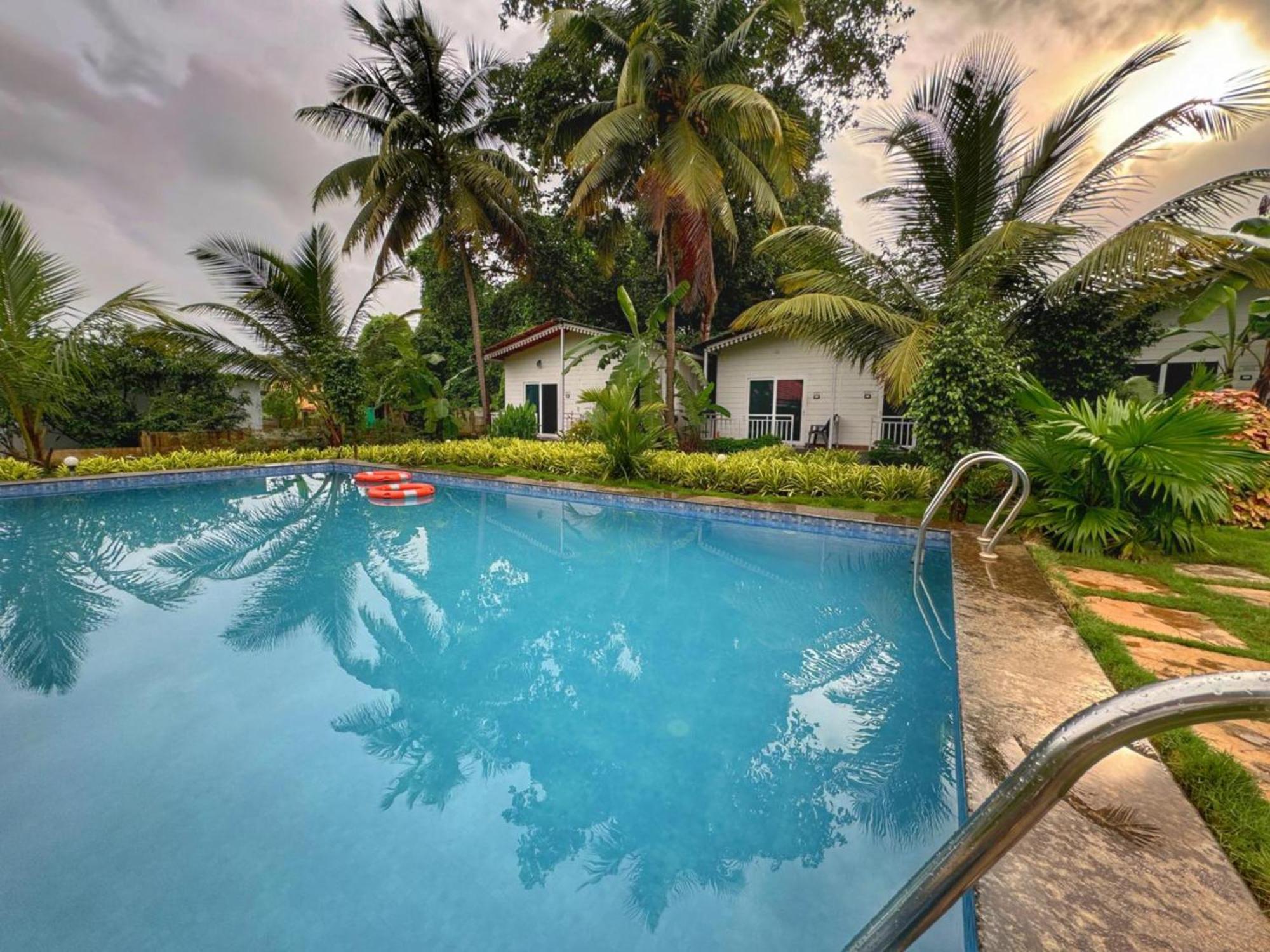 White Truffle Resort, Arambol Ngoại thất bức ảnh