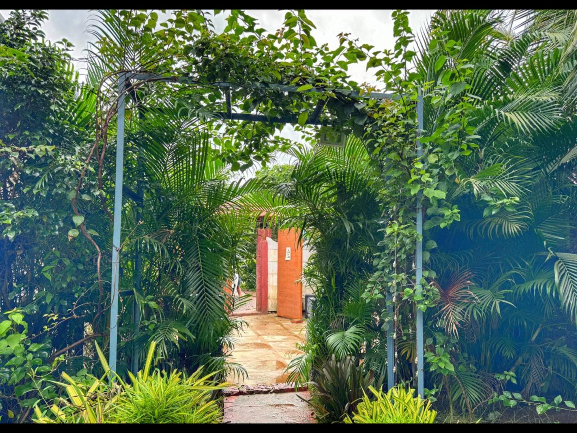 White Truffle Resort, Arambol Ngoại thất bức ảnh