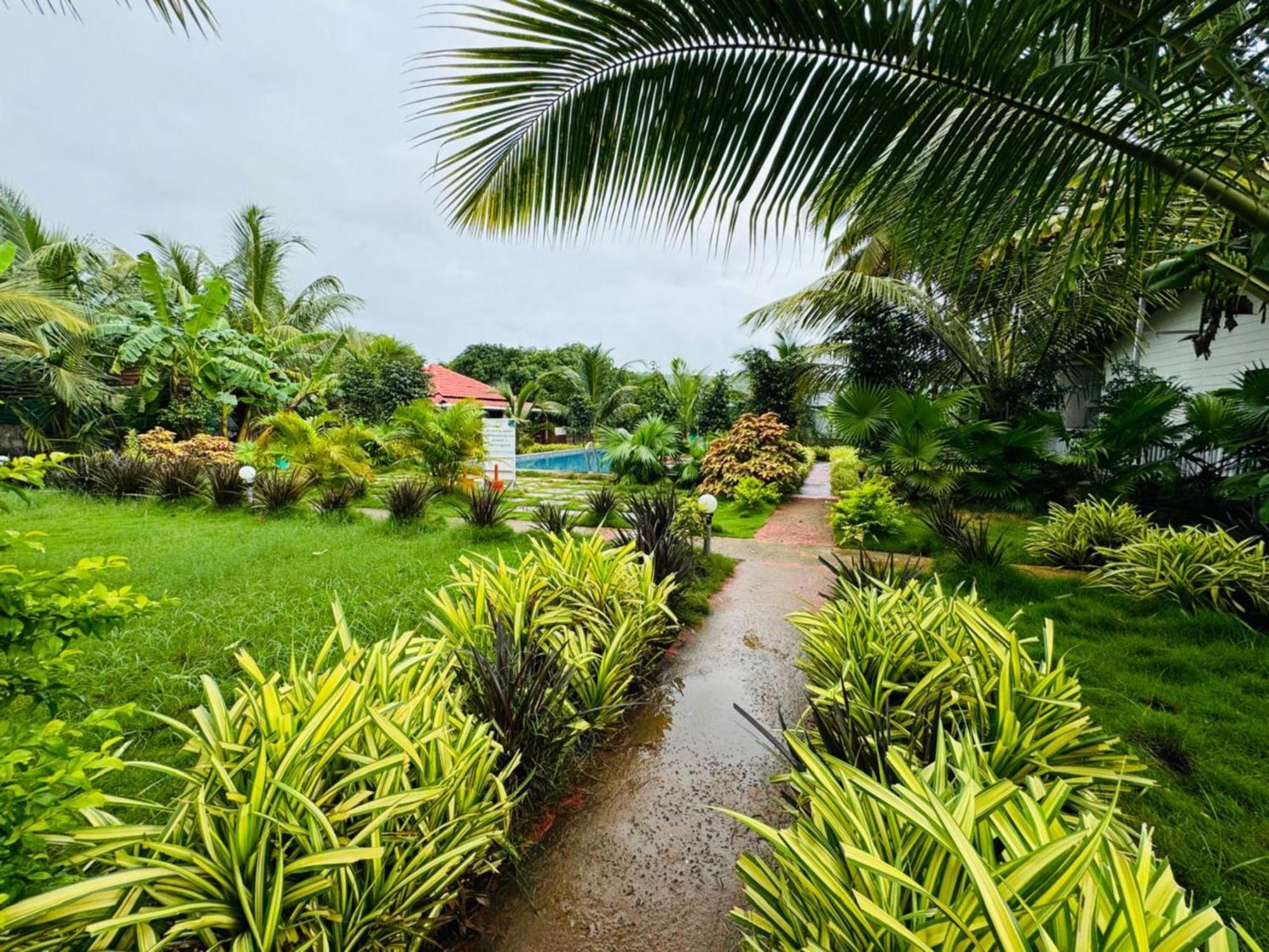 White Truffle Resort, Arambol Ngoại thất bức ảnh